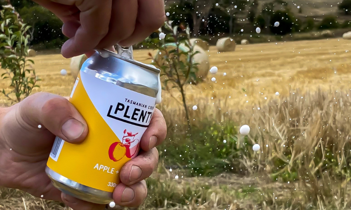 Plenty Cider Mixed Carton - Hero image