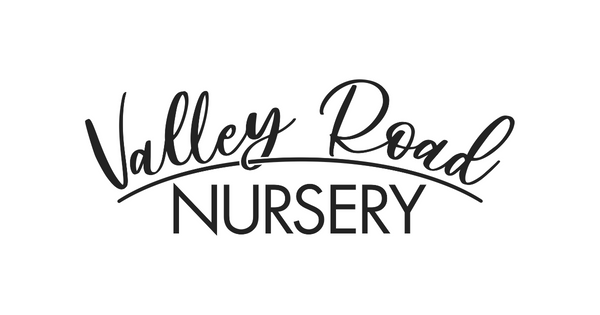 Valley Road Nursery