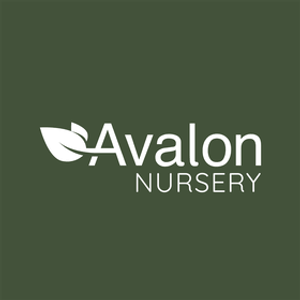 Avalon Nursery - Logo