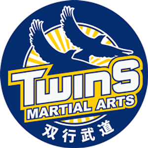 Twins Martial Arts - Logo