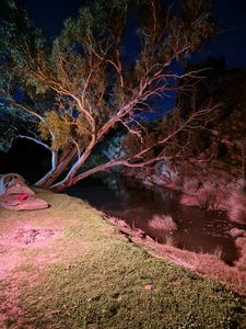 Adelaide Hills 4wd Park - Weekend Adventure Package - Hero Image