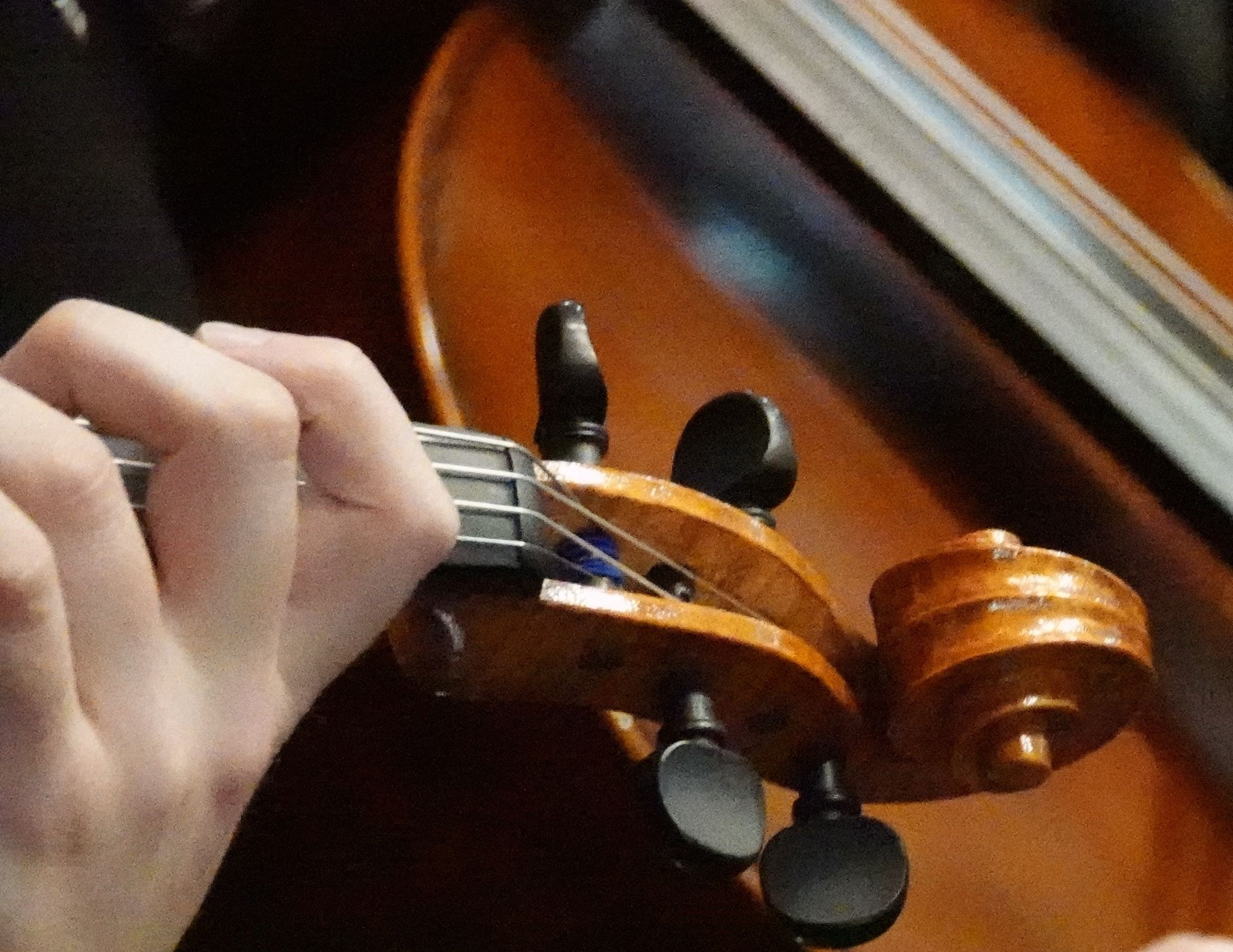 Orchestra Raffle RaffleTix | Macquarie Towns Symphony Orchestra Christmas Raffle 2025