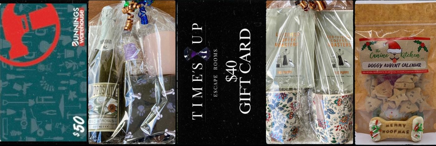 RaffleTix | DFL'S HOLIDAY CHEER RAFFLE!