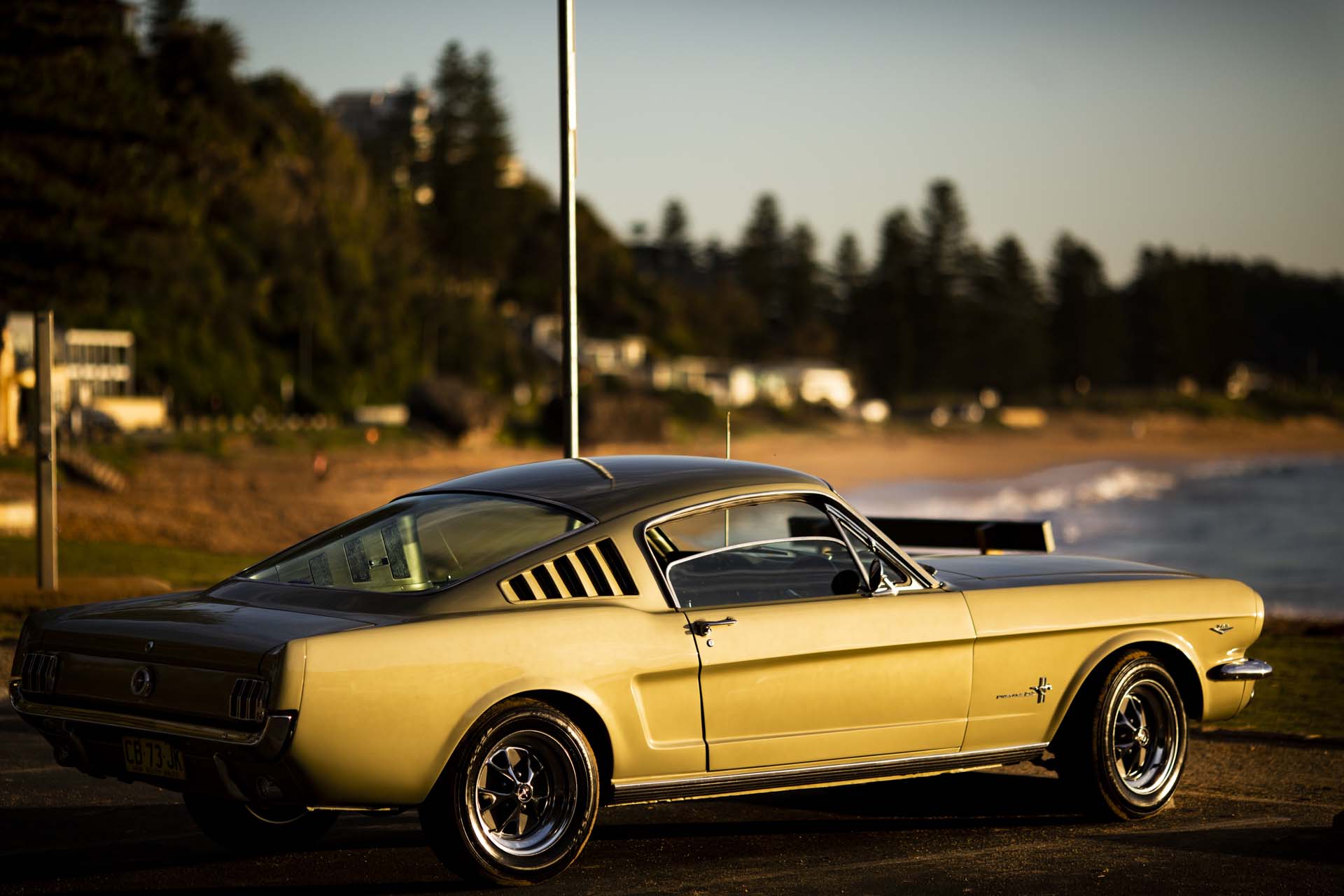 Top Blokes Foundation: The Mustang Project Raffle - Image 1
