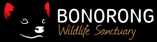 Bonorong Wildlife Sanctuary