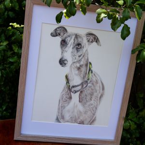 Custom Pet Portrait - Hero Image