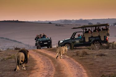 African Highlights Escorted Group Tour for 2 People - Hero Image