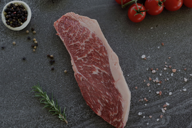 Men's Ultimate Day Pack - Hero Image