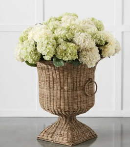 Coffee, Provincial & Anna Spiro and a Day or Night In! - Hero Image