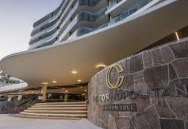 Cotton Tree Escape - Hero Image