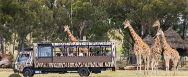 Family Pass - Taronga Zoo Dubbo - Hero Image
