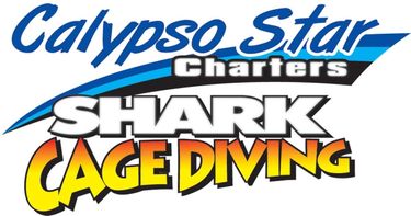 Calypso Star Charters - Logo