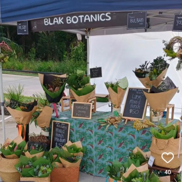 Blak Botanics