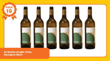 6 x bottles of Light of Day Sauvignon Blanc - Hero Image