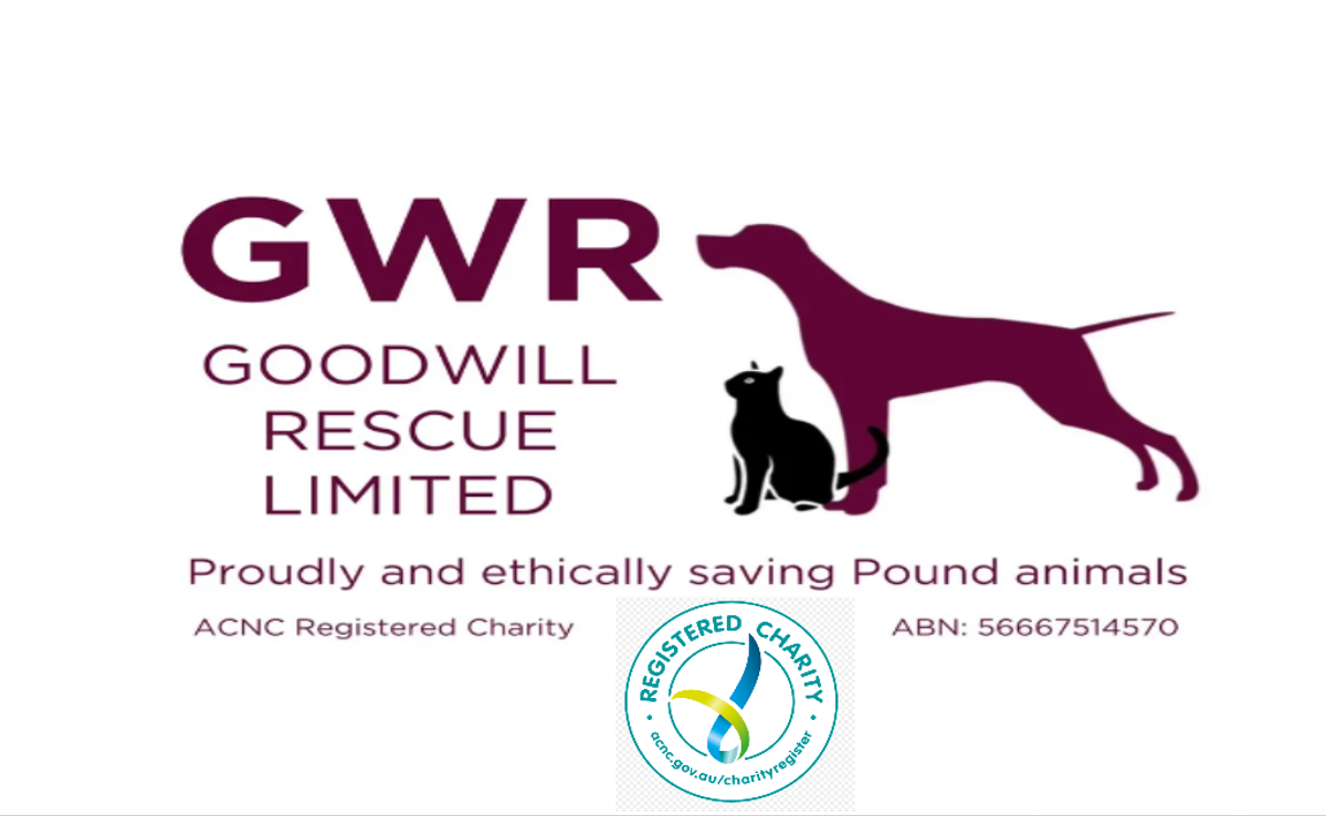 Goodwill Animals RaffleTix | Goodwill Rescue Limited - Saving Pound Animals- Sydney