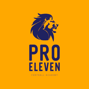 Pro Eleven Football Academy - Logo
