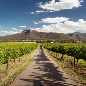 Hunter Valley Getaway - Hero Image