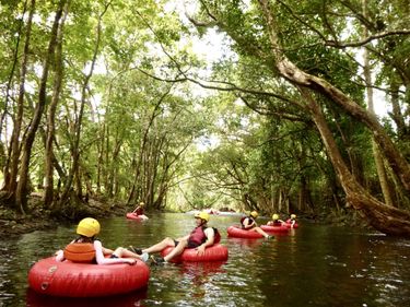 Rainforest River Tubing Tour (1 Adult) - Hero Image