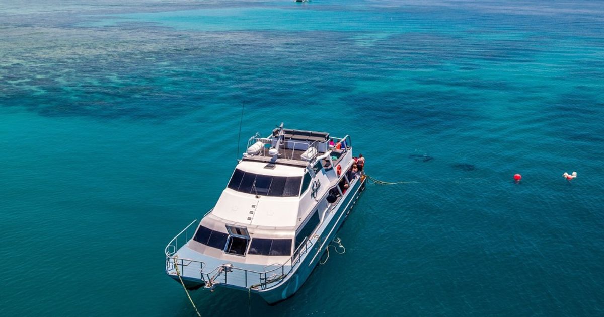 Ocean Freedom Cruise to Upolu Cay Reef & Outer Edge Upolu Reef - Hero image