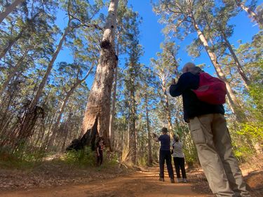 Pemberton Bring Some Friends Getaway - Hero Image