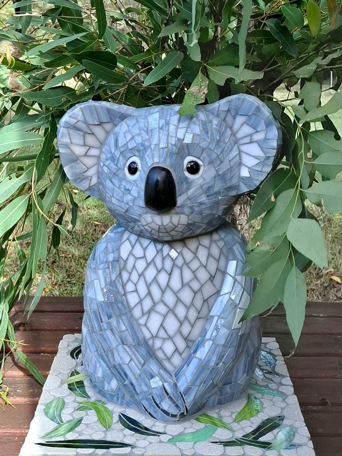 Corymbi Koala - Hero image
