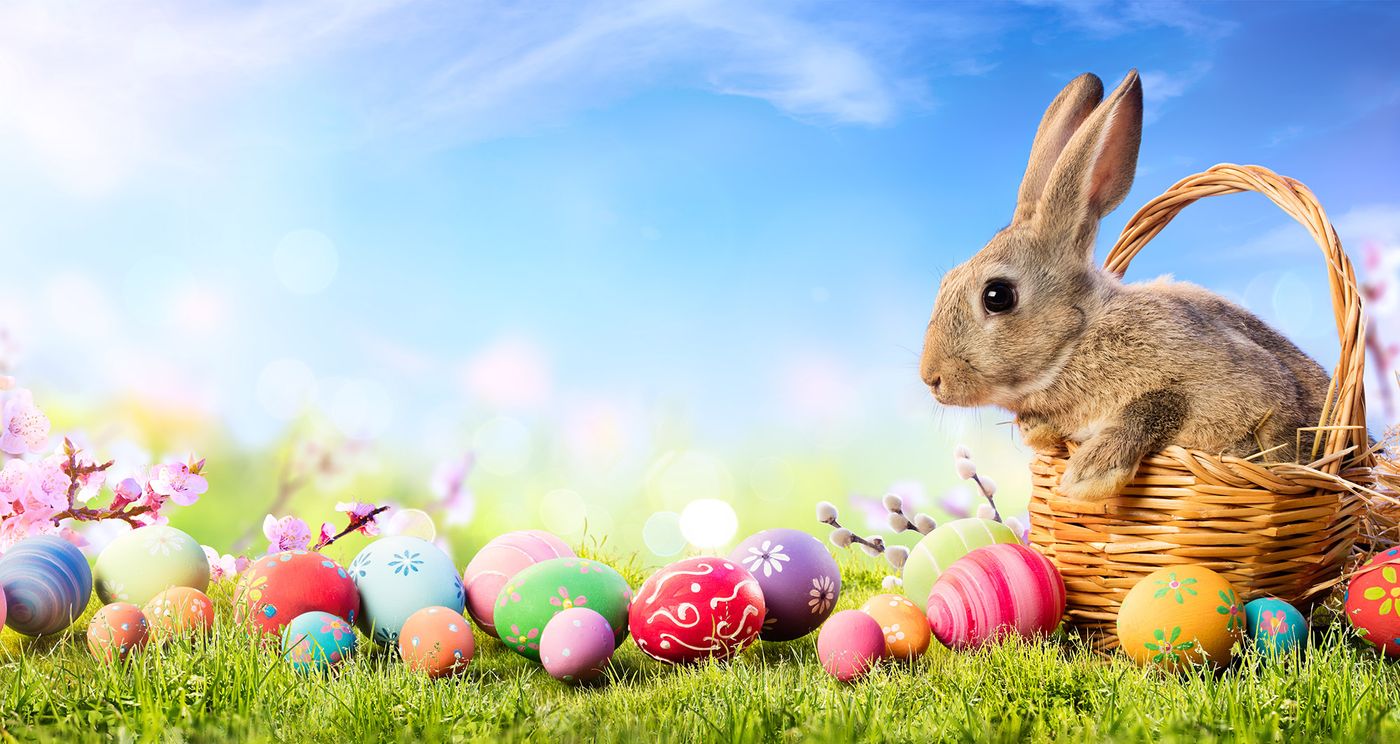 RaffleTix | HSPS Easter Raffle 2026