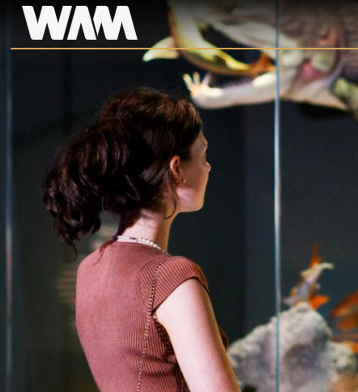 WA Museum Entry Tickets x 15 - Hero image