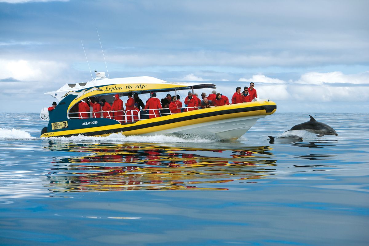 Two Adult Tickets for a Pennicott Wilderness Cruise - Hero image