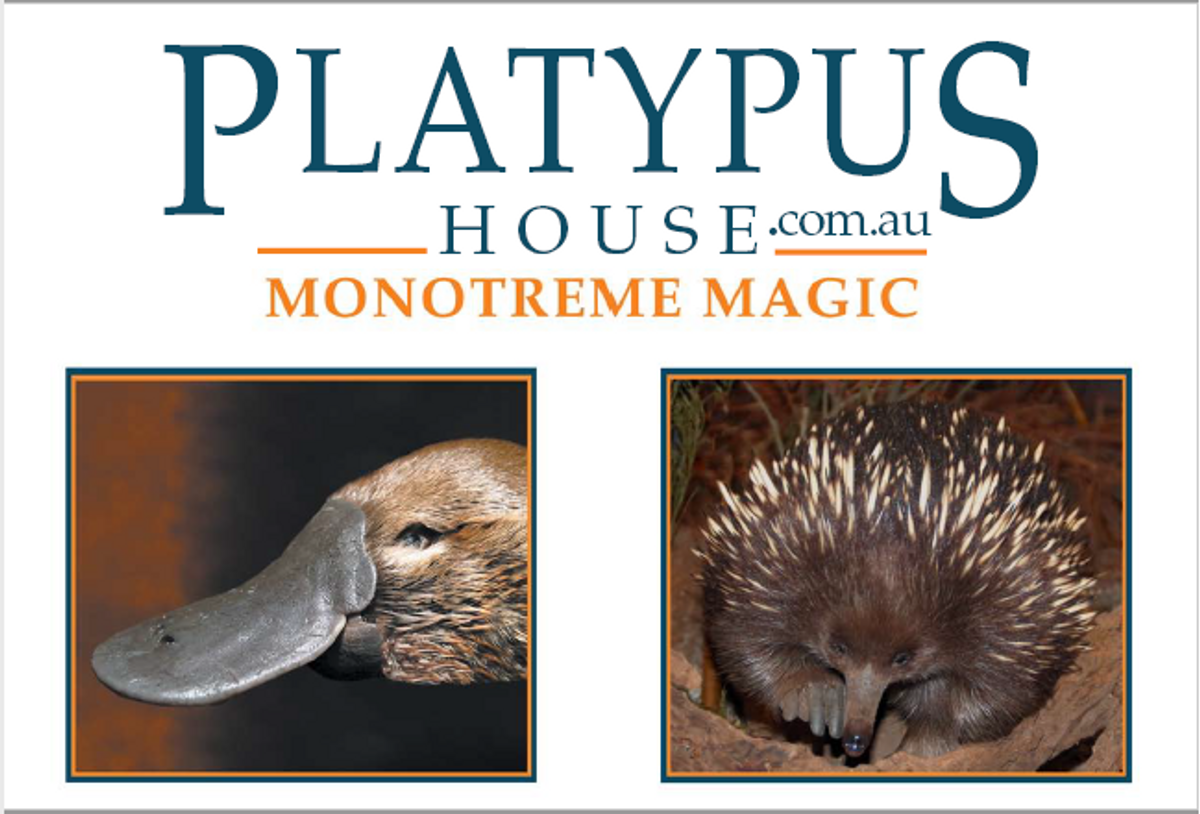 Platypus House Family Pass - Hero image