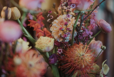 $200 Voucher for Mister Botanical - Hero Image