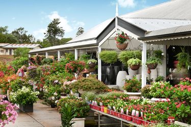 $150 Voucher for Ross Evans Garden Centre - Hero Image