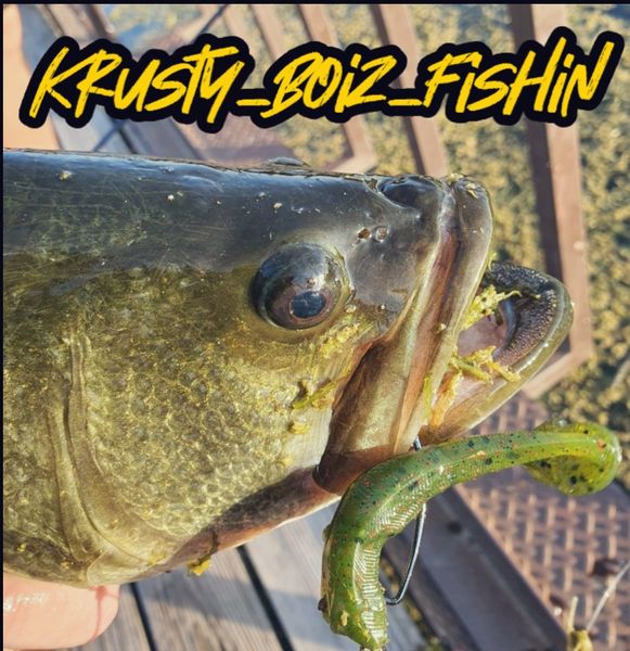 Krusty Boiz Fishing