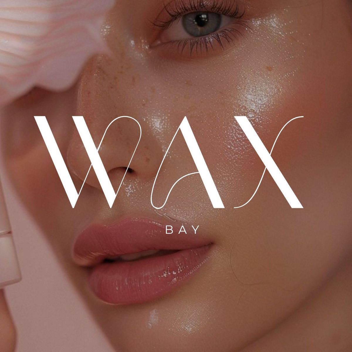 Wax Bay - Hero image
