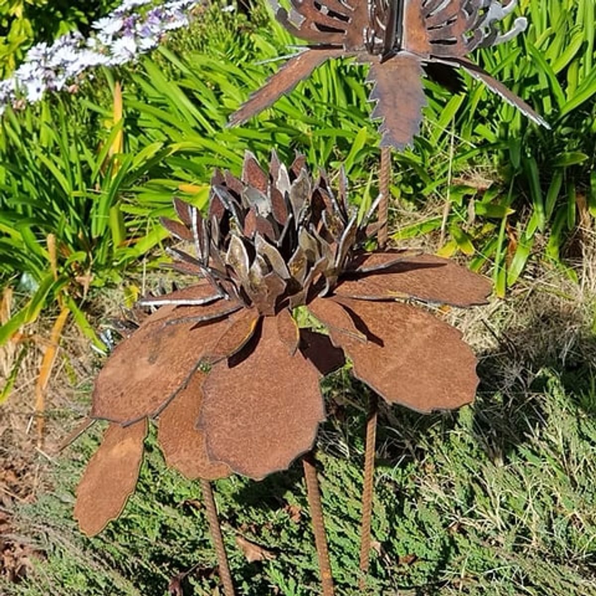 Steel Waratah Garden Sculpture by Wagga Artist Donna Lewis - Hero image