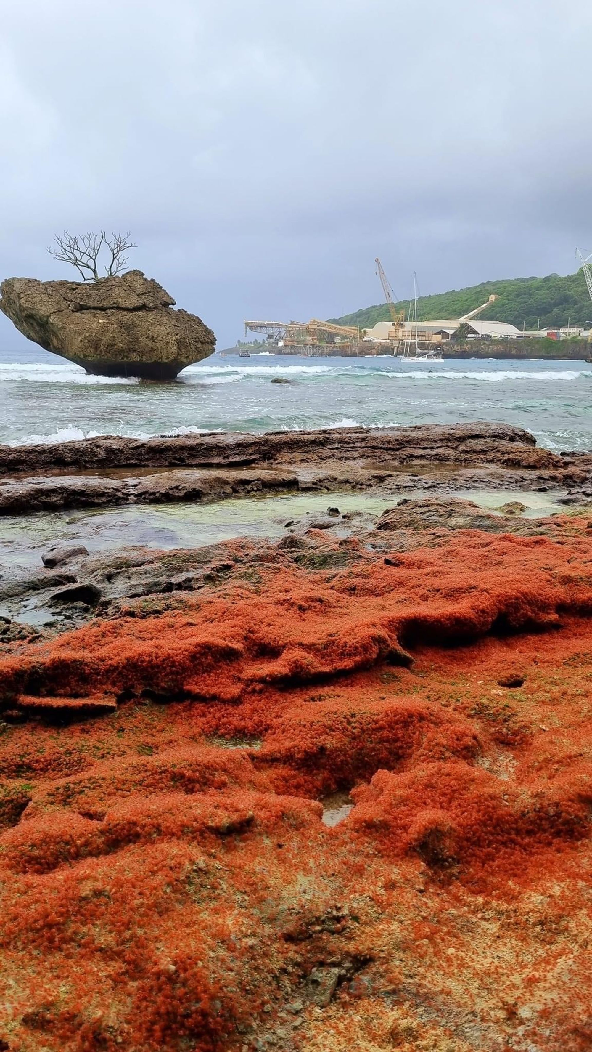 christmas island tour package