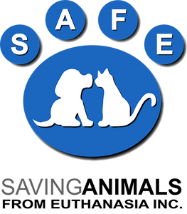 SAFE Broome - Logo