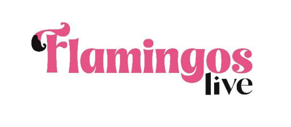 2 x Tickets - Flamingos Live, Lambton - Hero image
