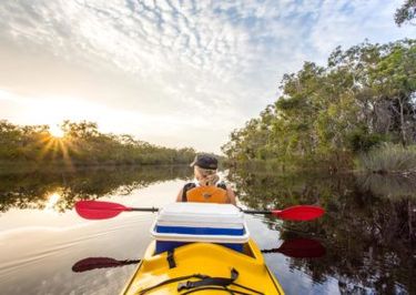 Kayak tour through Noosa Everglades-Kanu Kapers - Hero Image