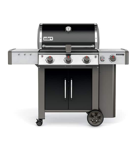 Weber Genesis 11 - Image 1