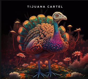2 x Tickets to Any Tijuana Cartel Gig - Hero Image