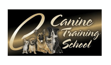 Canine Training School - Logo