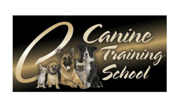 Canine Training School
