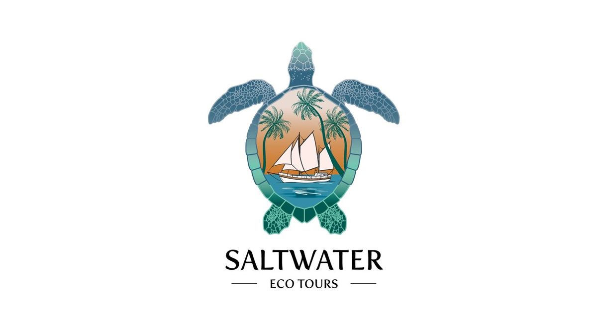 Saltwater Eco Tours - Hero image