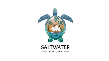 Saltwater Eco Tours - Hero Image