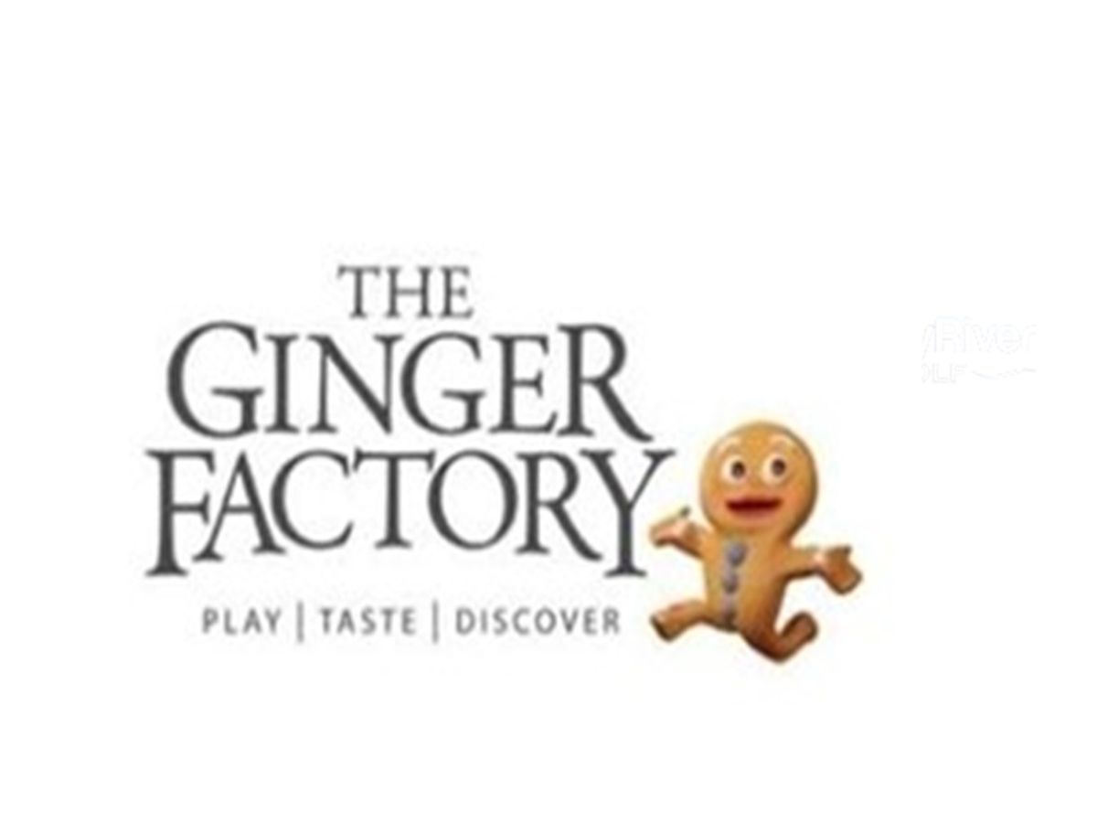 Ginger Factory - Hero image