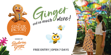 The Ginger Factory - Family Play, Taste & Discover Bundle! - Hero Image