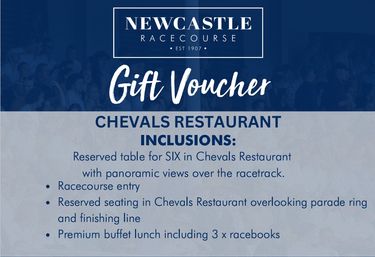 Newcastle Racecourse Lunch Package - Hero Image