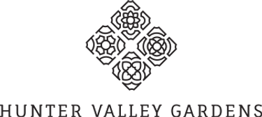 Christmas Light Spectacular - Hero Image