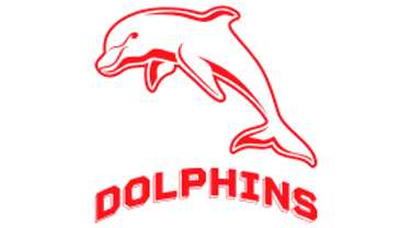 4 x Dolphins Home Game Tickets - Hero Image