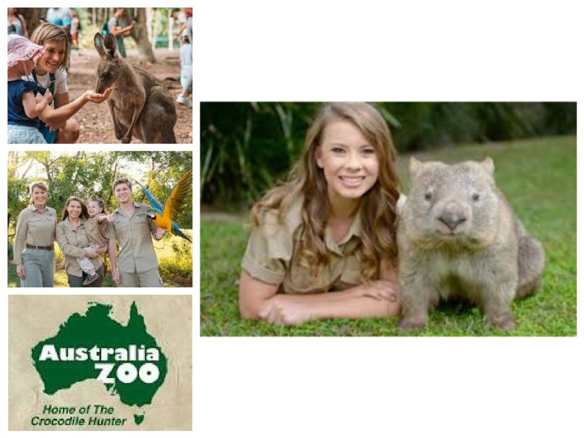 Australia Zoo Child Pass - Hero image